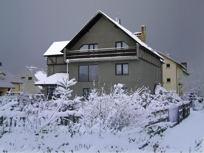 U Bozeny Pokoje Dzwirzyno Exterior photo